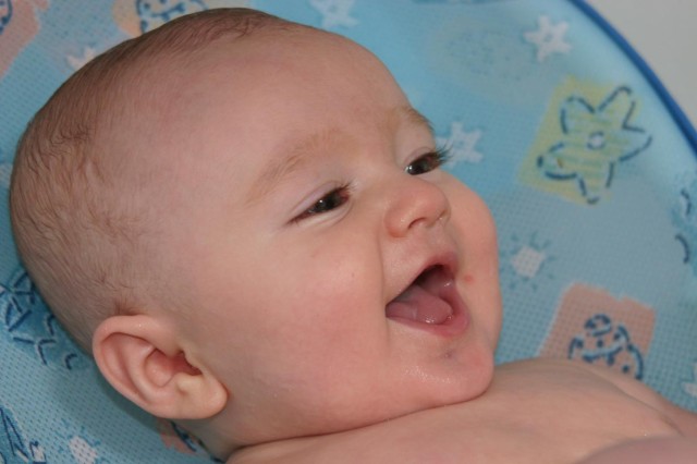 Click for original image 88k 1229x819